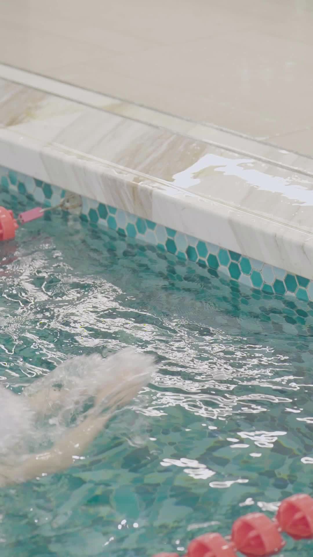 Episode 12 - I Became an Olympic Swimming Champion